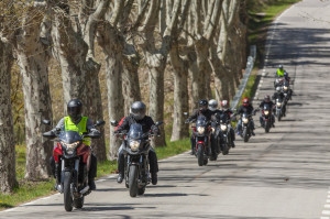Honda Day 2014