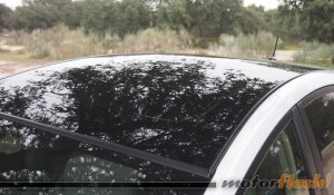 Toyota Prius+