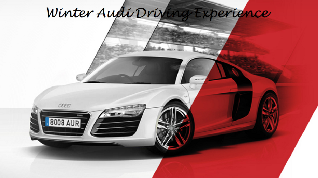 Winter Audi Driving Experience