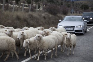 Curso Probador de Coches Fundacion Luike