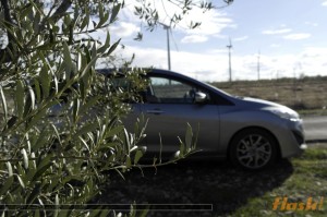 Mazda5 Iruka